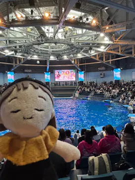 マクセル アクアパーク品川に投稿された画像（2026/4/1）