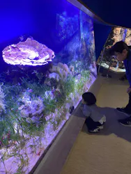 名古屋港水族館に投稿された画像（2026/4/1）