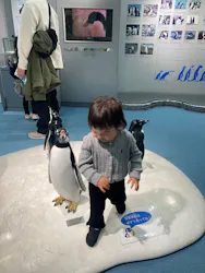 名古屋港水族館に投稿された画像（2026/4/1）