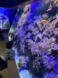 名古屋港水族館に投稿された画像（2026/4/1）