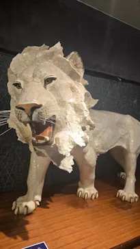 日本サンゴセンター宝石珊瑚資料館「35の杜」に投稿された画像（2026/4/1）