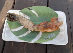 ブラジリアンパーク鷲羽山ハイランドに投稿された画像（2026/4/1）