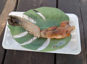 ブラジリアンパーク鷲羽山ハイランドに投稿された画像（2026/4/1）