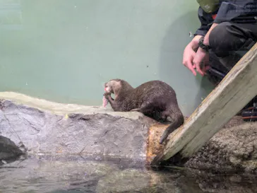 マクセル アクアパーク品川に投稿された画像（2026/4/1）