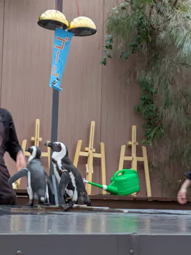 マクセル アクアパーク品川に投稿された画像（2026/4/1）