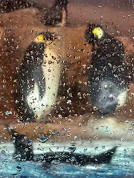 名古屋港水族館に投稿された画像（2026/4/1）