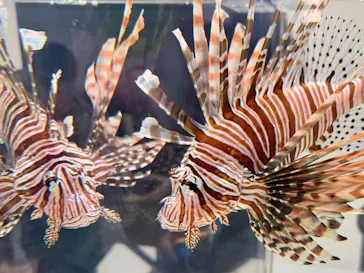 NIFREL（ニフレル）に投稿された画像（2026/4/1）