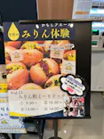 流山市白みりんミュージアムに投稿された画像（2026/4/1）