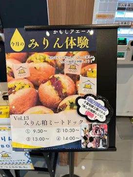 流山市白みりんミュージアムに投稿された画像（2026/4/1）