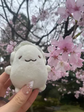 兼六園に投稿された画像（2026/4/1）