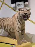 特別展「超危険生物展　科学で挑む生き物の本気」に投稿された画像（2026/4/1）