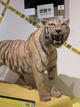特別展「超危険生物展　科学で挑む生き物の本気」に投稿された画像（2026/4/1）