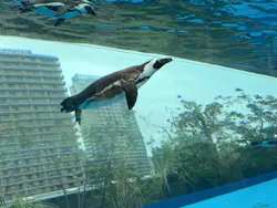 サンシャイン水族館に投稿された画像（2026/4/1）