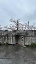 西武園ゆうえんちに投稿された画像（2026/4/1）