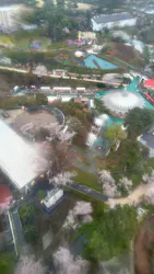 西武園ゆうえんちに投稿された画像（2026/4/1）