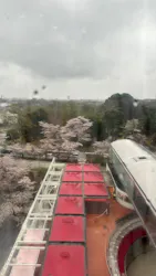 西武園ゆうえんちに投稿された画像（2026/4/1）