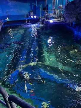 しながわ水族館に投稿された画像（2026/4/1）