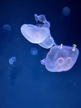 サンシャイン水族館に投稿された画像（2026/4/1）