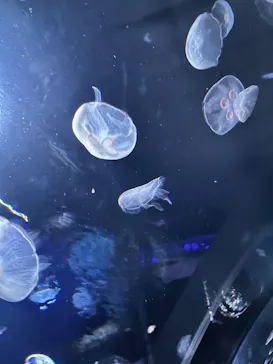 サンシャイン水族館に投稿された画像（2026/4/1）