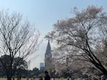 新宿御苑に投稿された画像（2026/4/1）
