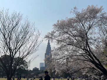 新宿御苑に投稿された画像（2026/4/1）
