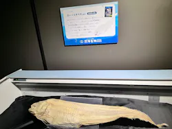 サンシャイン水族館に投稿された画像（2026/4/1）