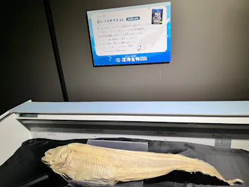 サンシャイン水族館に投稿された画像（2026/4/1）