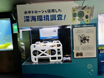 サンシャイン水族館に投稿された画像（2026/4/1）