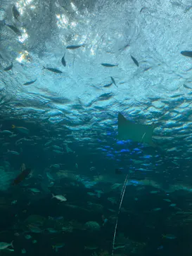 名古屋港水族館に投稿された画像（2026/4/1）