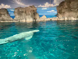 名古屋港水族館に投稿された画像（2026/4/1）