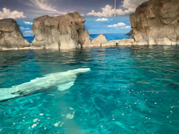 名古屋港水族館に投稿された画像（2026/4/1）