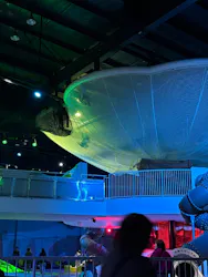 モビリティリゾートもてぎに投稿された画像（2026/4/1）