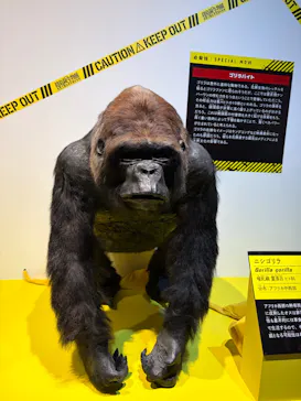 特別展「超危険生物展　科学で挑む生き物の本気」に投稿された画像（2026/4/1）