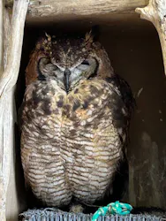 横浜・八景島シーパラダイスに投稿された画像（2026/4/1）