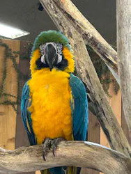 横浜・八景島シーパラダイスに投稿された画像（2026/4/1）