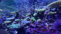 名古屋港水族館に投稿された画像（2026/4/1）