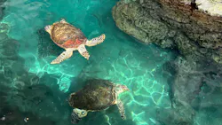 名古屋港水族館に投稿された画像（2026/4/1）