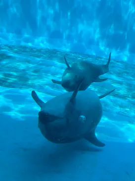 名古屋港水族館に投稿された画像（2026/4/1）