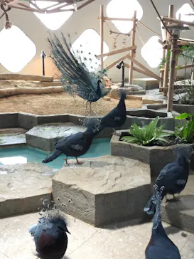 アソビュー！ポイントに投稿された画像（2026/4/1）