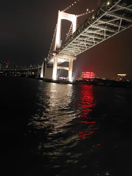 東京湾夜景クルーズ＜横浜港→東京（竹芝桟橋）＞に投稿された画像（2026/4/2）