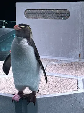 AOAO SAPPOROに投稿された画像（2026/4/2）