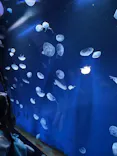 サンシャイン水族館に投稿された画像（2026/4/2）