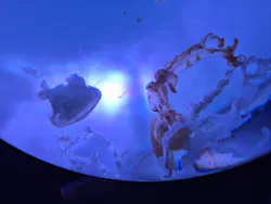 サンシャイン水族館に投稿された画像（2026/4/2）