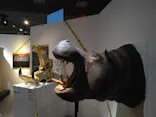 特別展「超危険生物展　科学で挑む生き物の本気」に投稿された画像（2026/4/2）