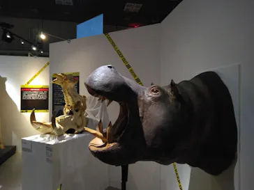 特別展「超危険生物展　科学で挑む生き物の本気」に投稿された画像（2026/4/2）