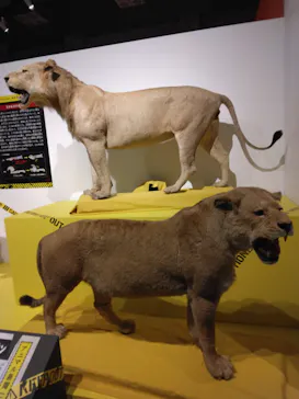 特別展「超危険生物展　科学で挑む生き物の本気」に投稿された画像（2026/4/2）