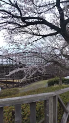 城島高原パークに投稿された画像（2026/4/2）