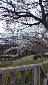 城島高原パークに投稿された画像（2026/4/2）