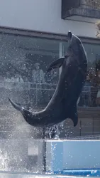 九十九島パールシーリゾートに投稿された画像（2026/4/2）