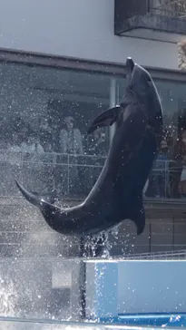 九十九島パールシーリゾートに投稿された画像（2026/4/2）